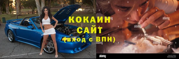 spice Богородск