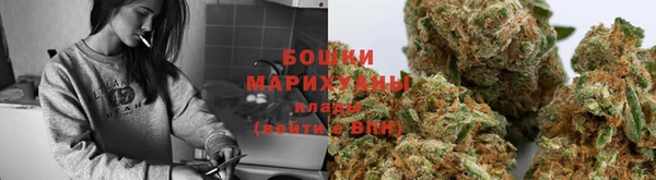 хмурый Белокуриха