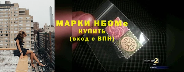 хмурый Белокуриха