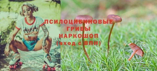 дурь Беломорск