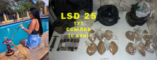 молекула духа Кондопога