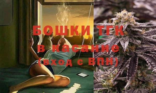 spice Богородск