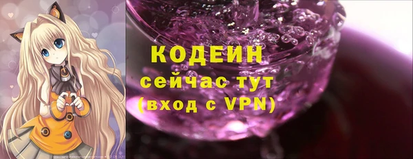 хмурый Богородицк