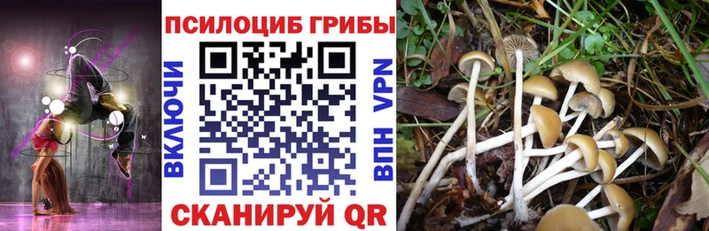 kraken как зайти  Бугульма  Псилоцибиновые грибы Magic Shrooms  где купить наркоту 