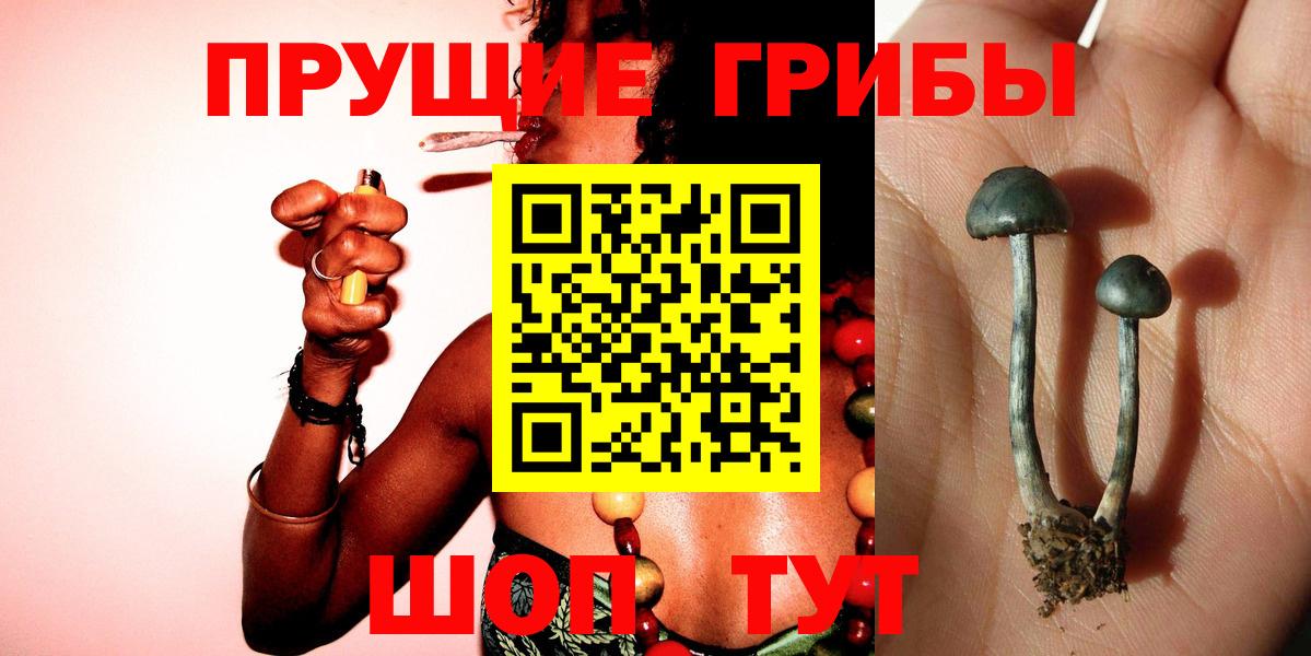 Псилоцибиновые грибы MAGIC MUSHROOMS Бугульма