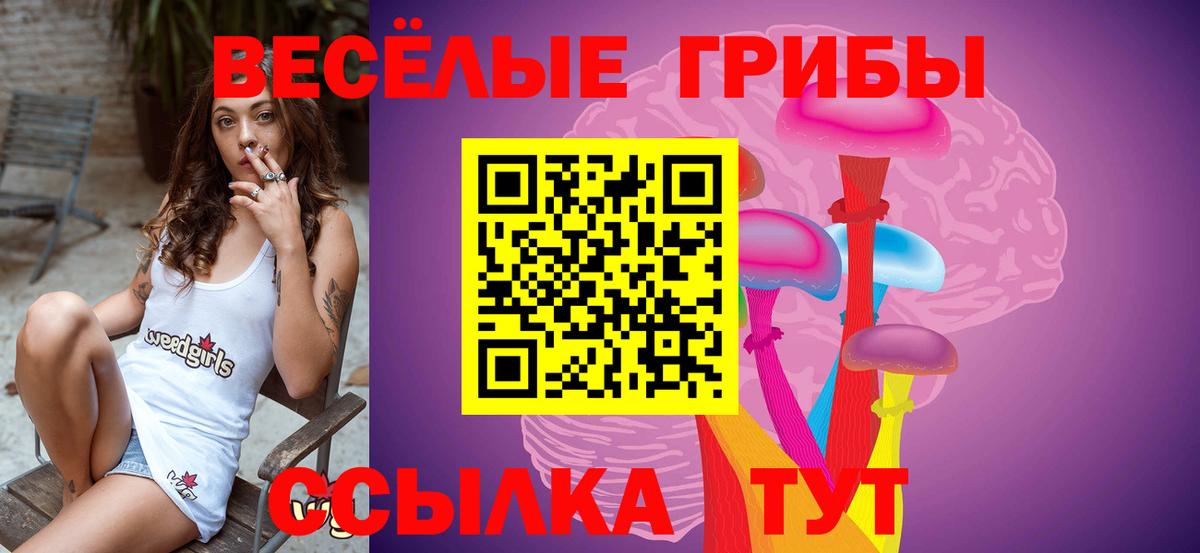Галлюциногенные грибы Psilocybine cubensis  Галлюциногенные грибы Magic Shrooms  Бугульма  Вход с VPN 